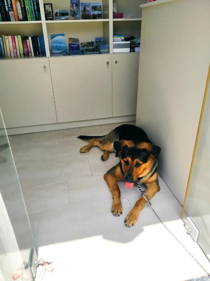 Manganas Studios Paleokastritsa Dış mekan fotoğraf
